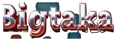 bigtaka logo
